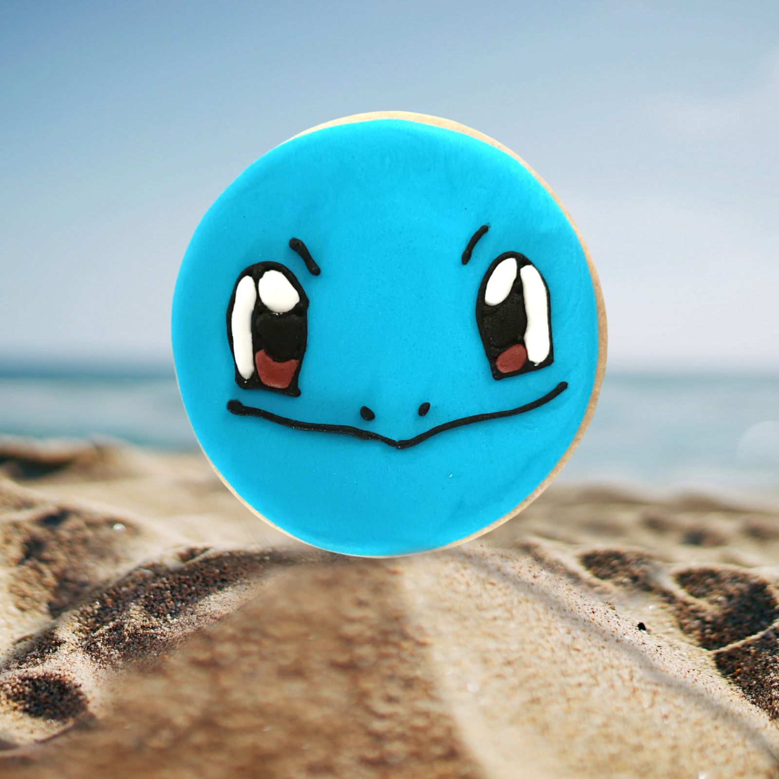 Biscuit rond carapuce